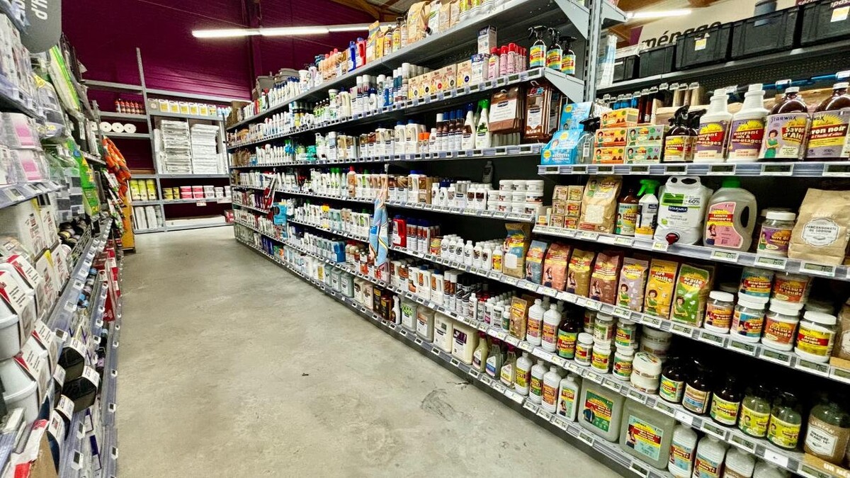 Images Bricomarché Le Havre