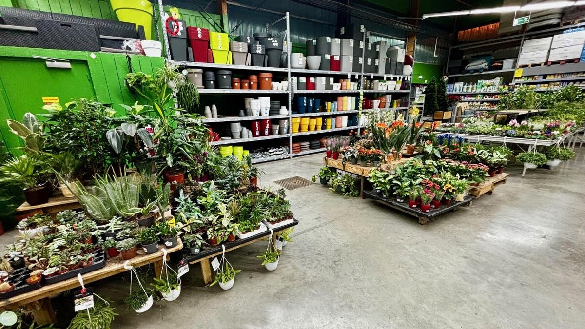 Images Bricomarché Le Havre