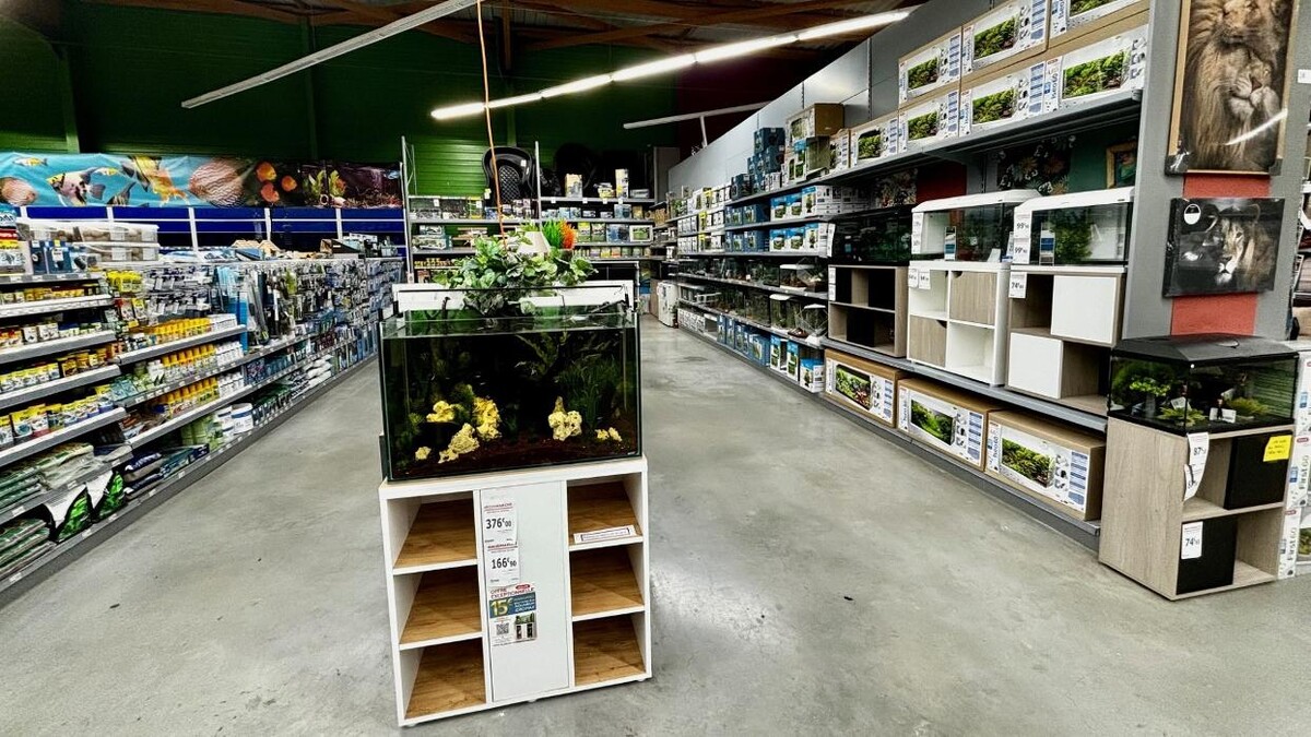 Images Bricomarché Le Havre