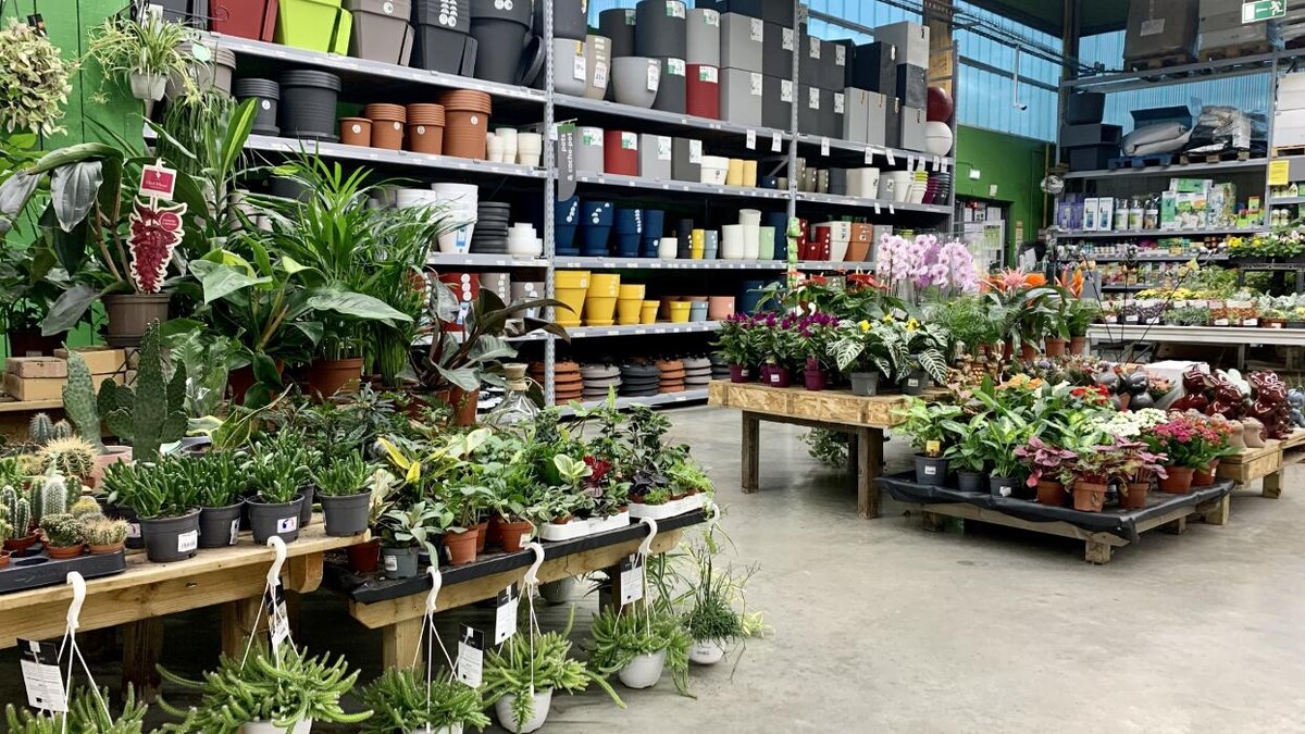 Images Bricomarché Le Havre