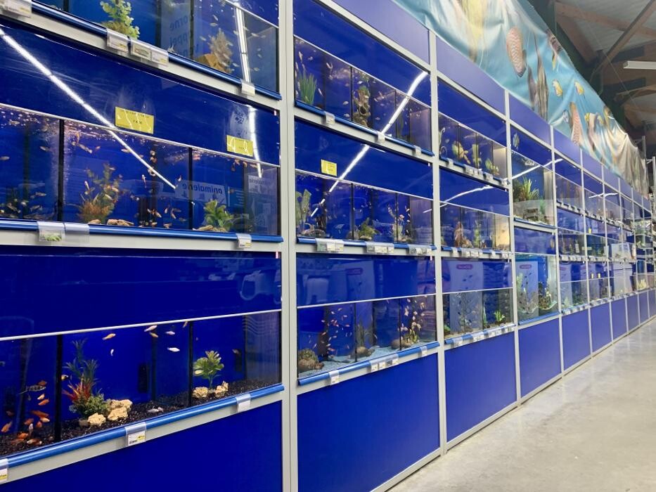 Images Bricomarché Le Havre