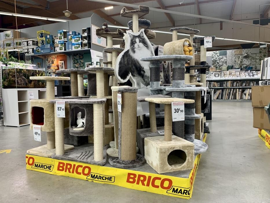 Images Bricomarché Le Havre