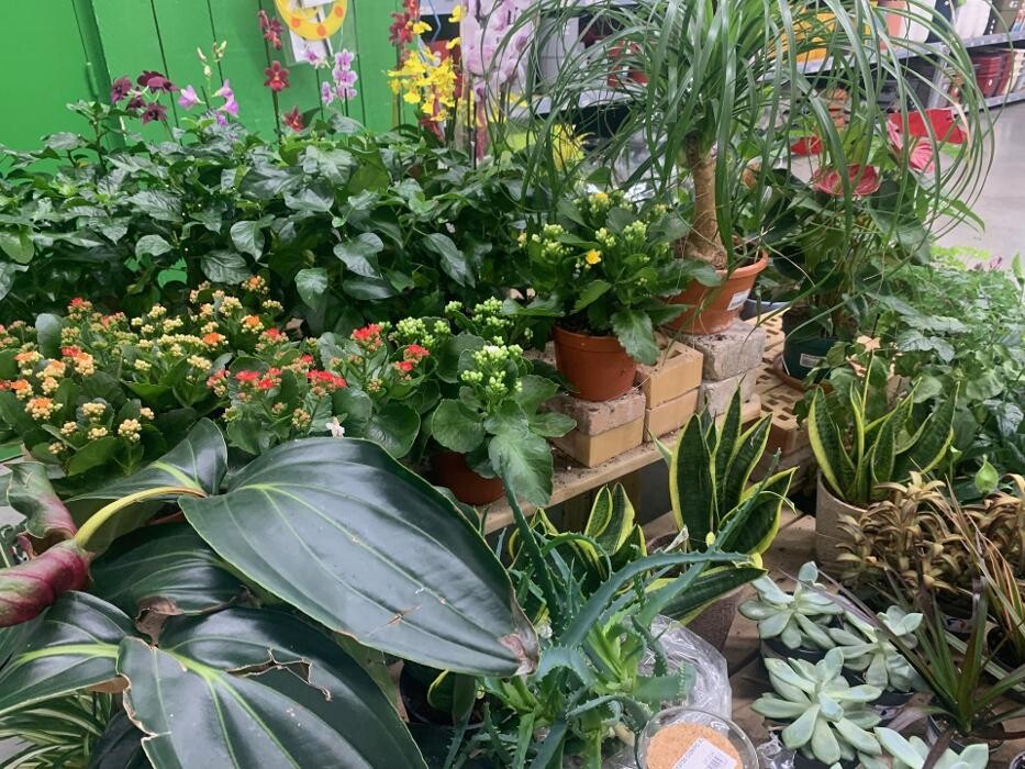 Images Bricomarché Le Havre