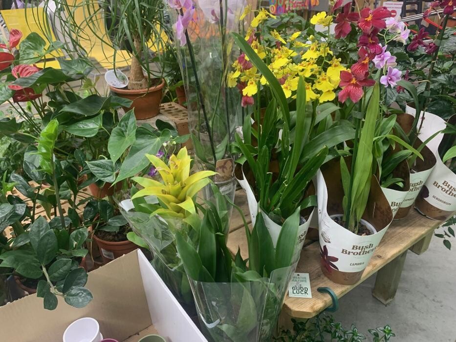 Images Bricomarché Le Havre