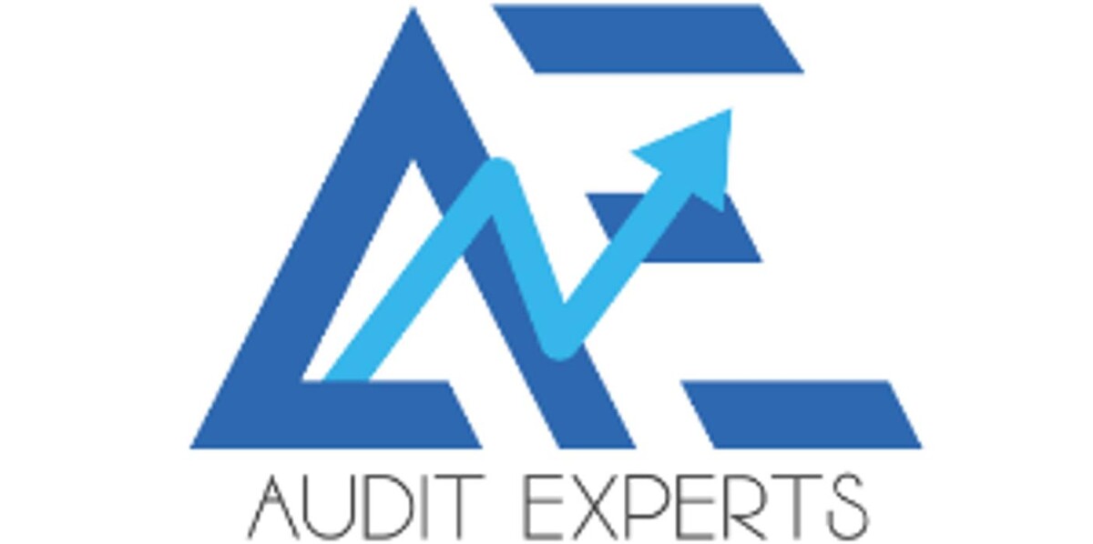 Audit-experts Logo