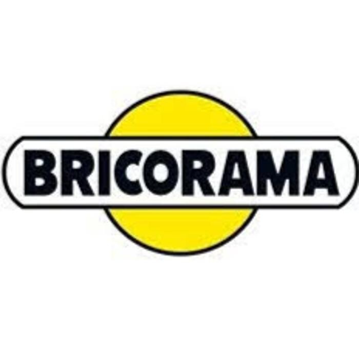 Bricorama Paris Logo