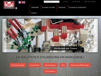 Screenshot for www.bvgsa.com