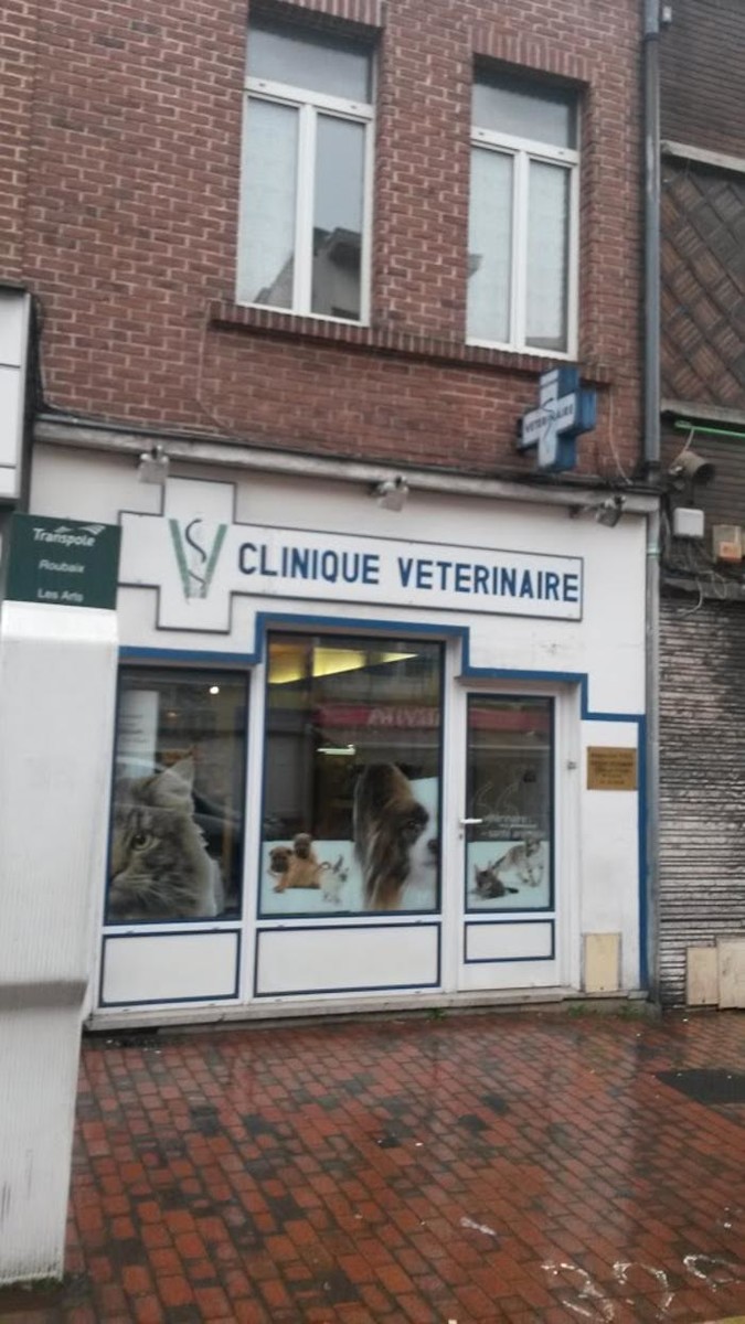 Images Clinique vétérinaire de l'Epeule