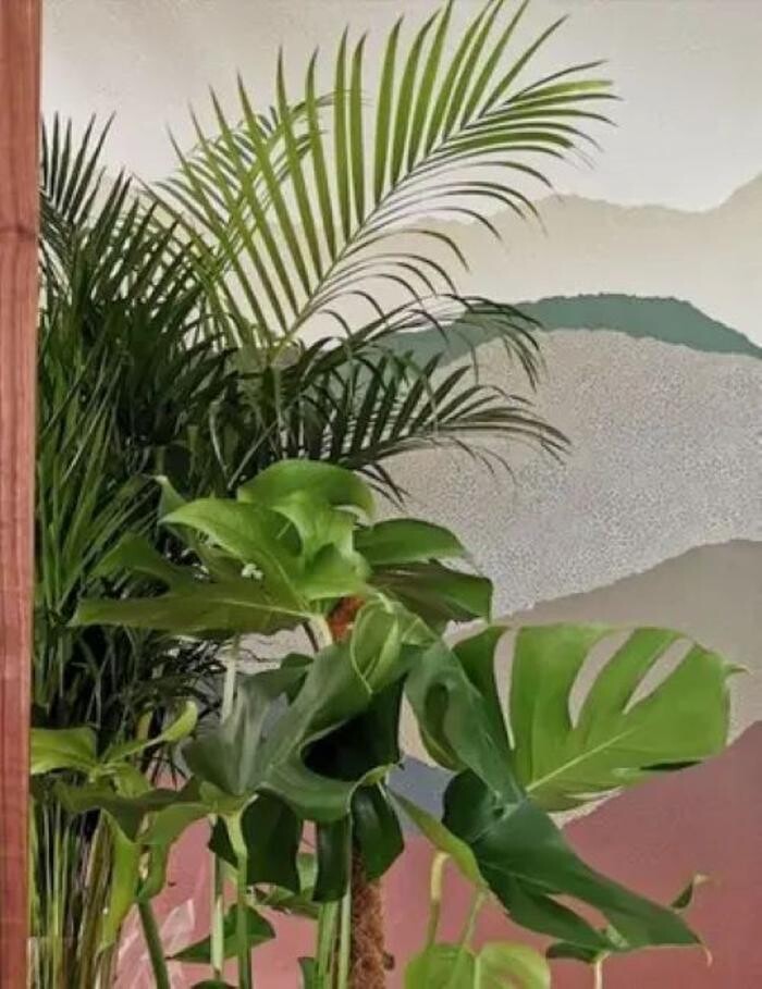 Images Plougasnou Optique - Opticien Plougasnou