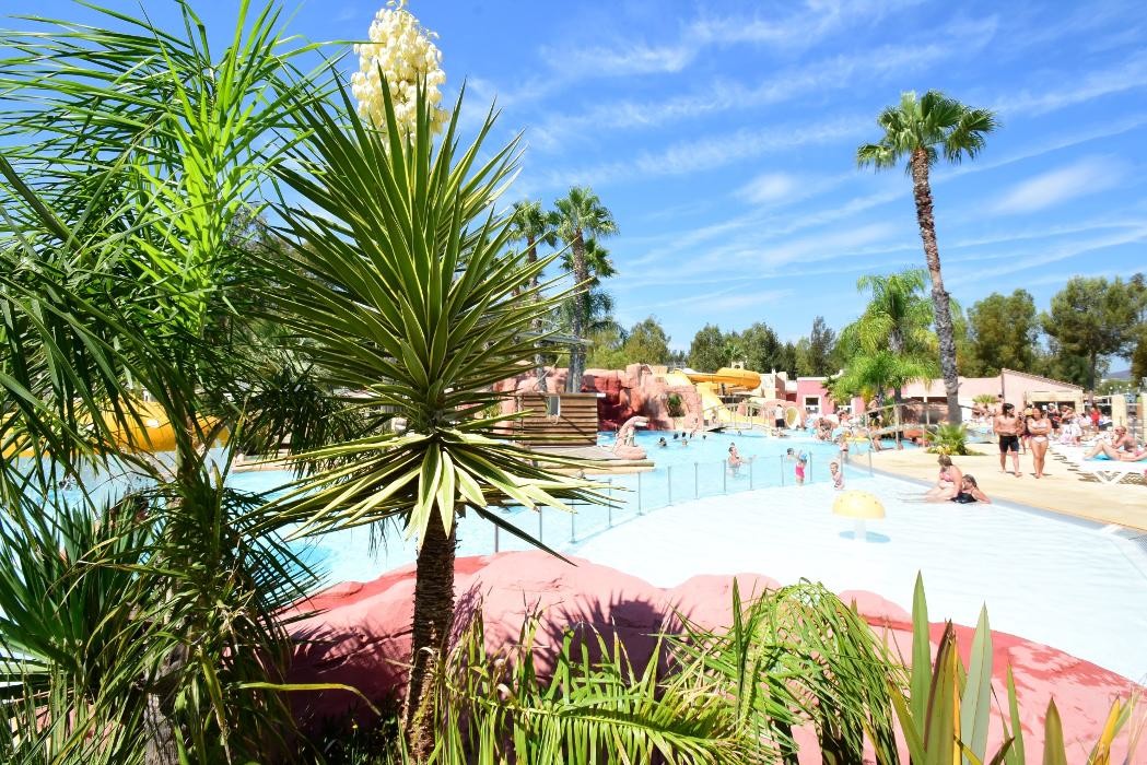 Images Camping les Palmiers