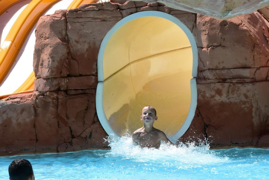 Images Camping les Palmiers