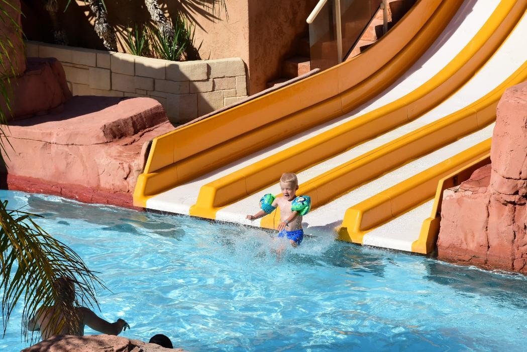 Images Camping les Palmiers