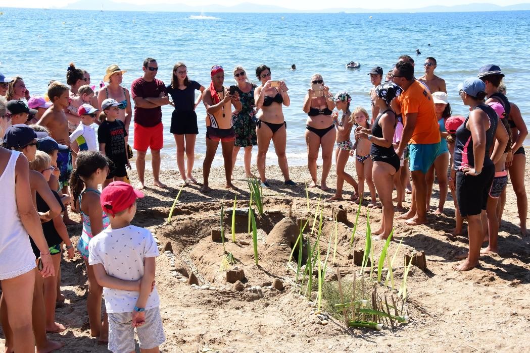 Images Camping les Palmiers