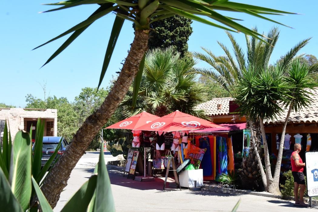 Images Camping les Palmiers