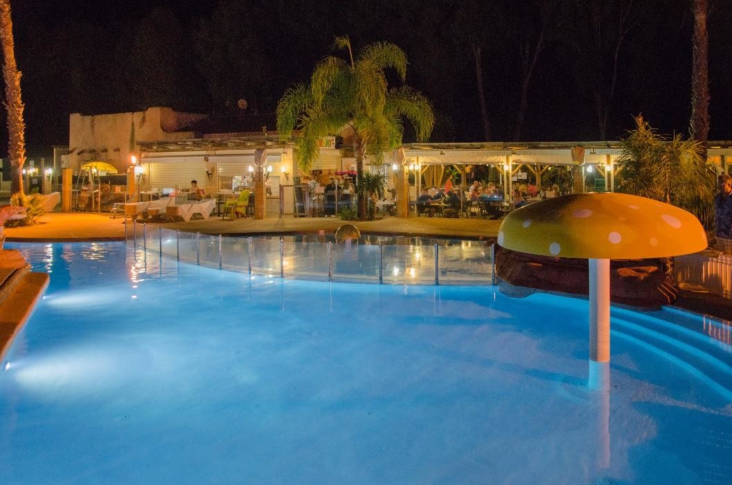 Images Camping les Palmiers