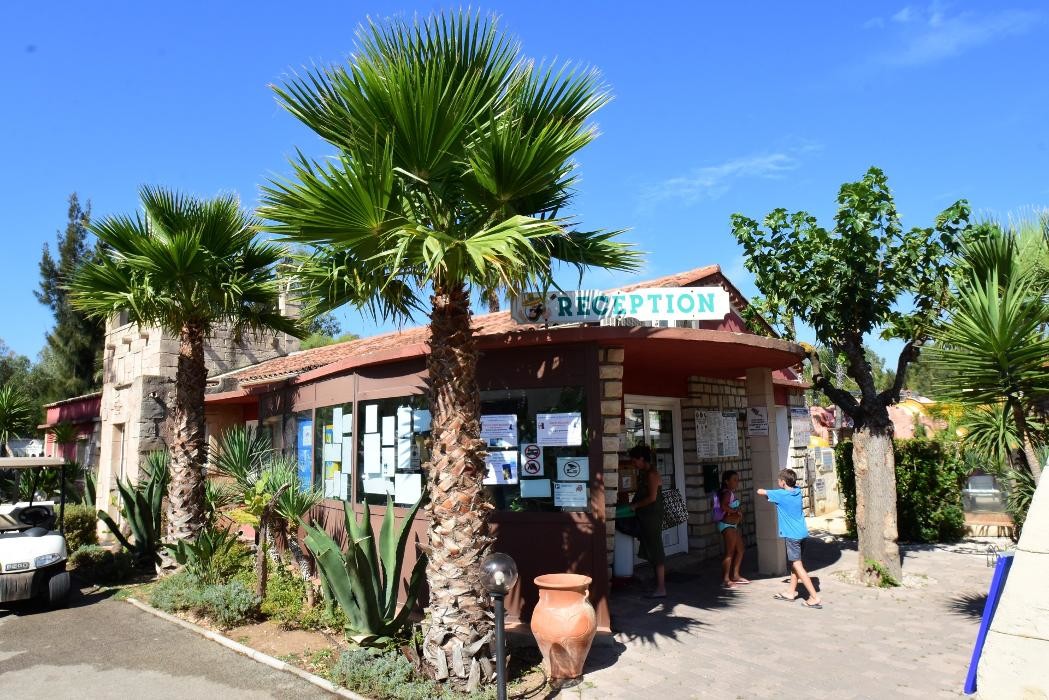 Images Camping les Palmiers
