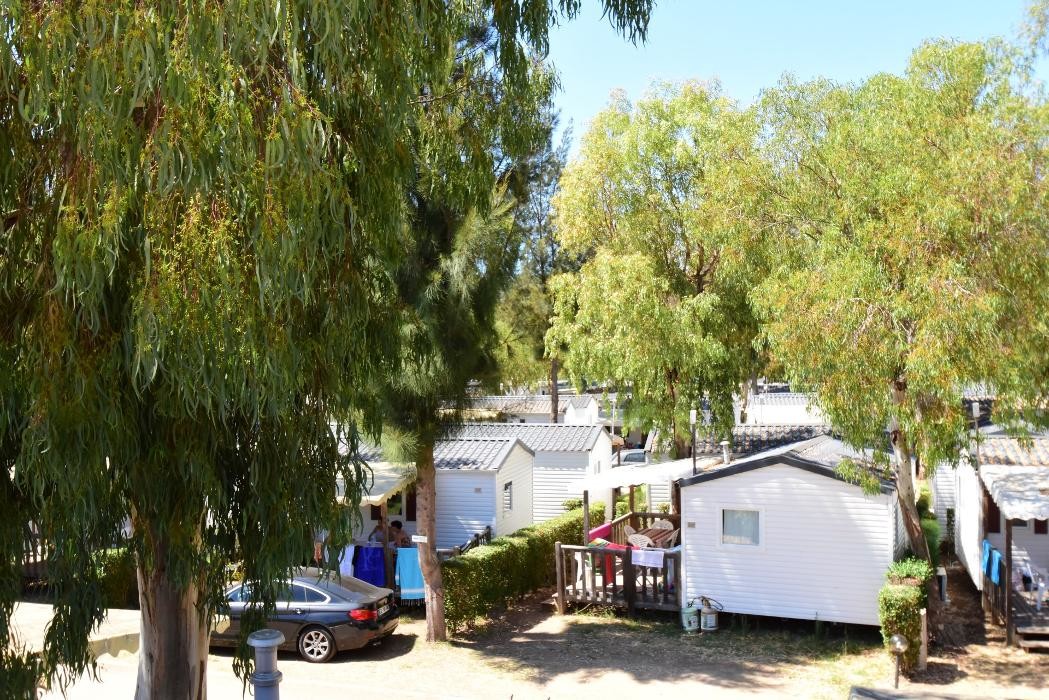 Images Camping les Palmiers