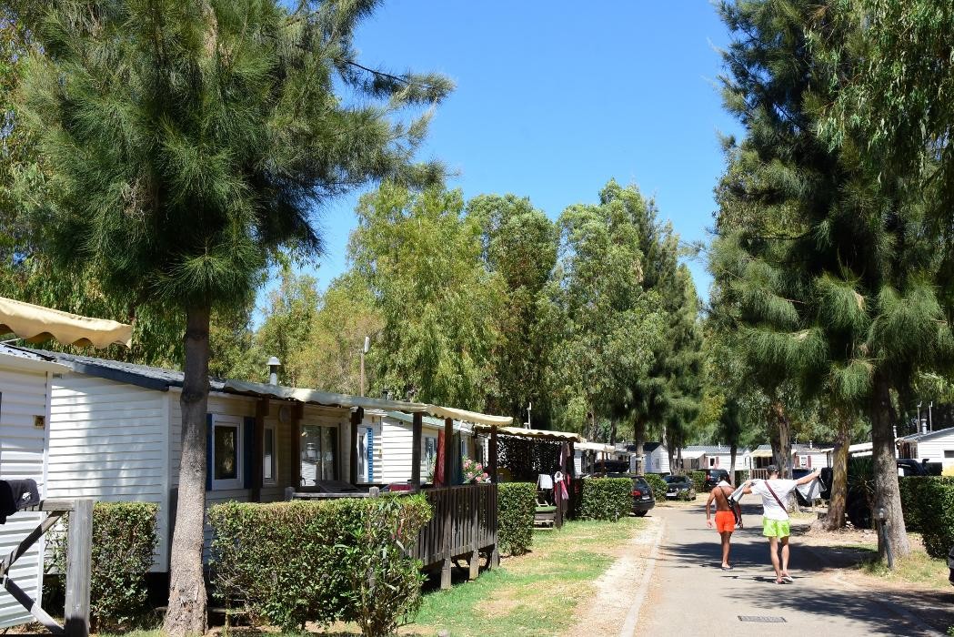 Images Camping les Palmiers