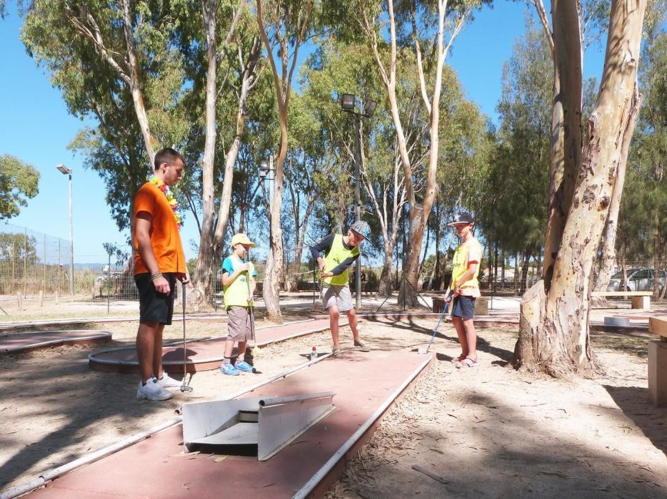 Images Camping les Palmiers