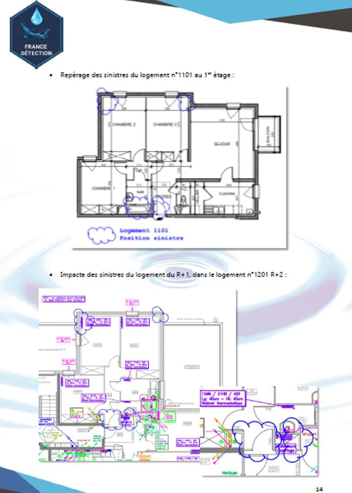 Images France detection