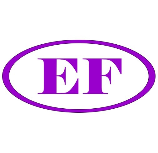 Europe Formation Conseil Logo