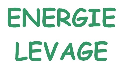 ENERGIE LEVAGE Logo