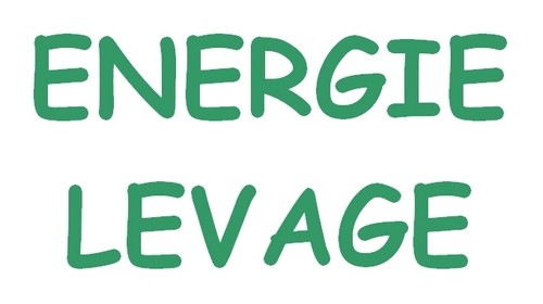 ENERGIE LEVAGE Logo