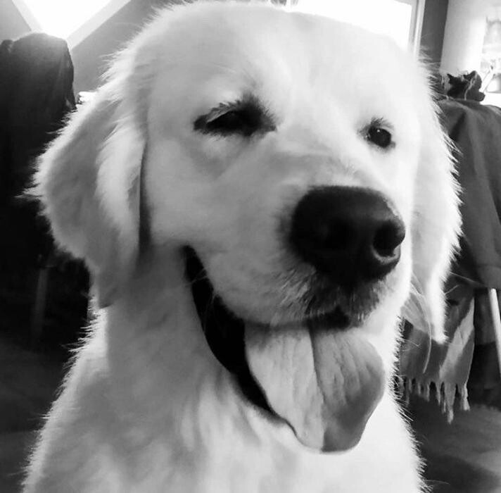 Images La Villa des Truffes D'Or