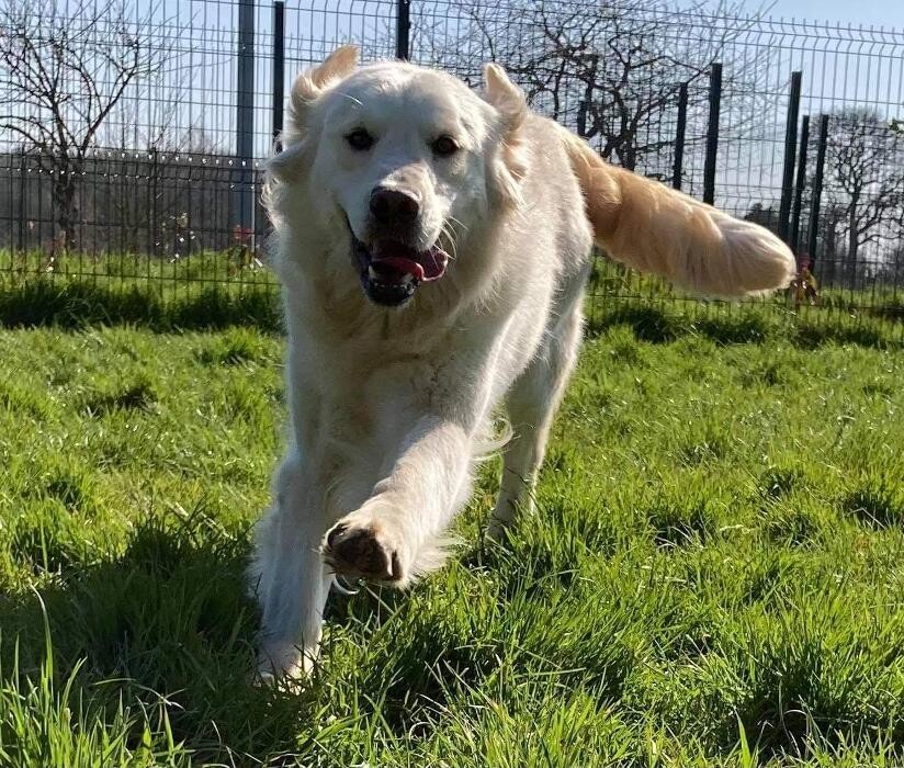 Images La Villa des Truffes D'Or