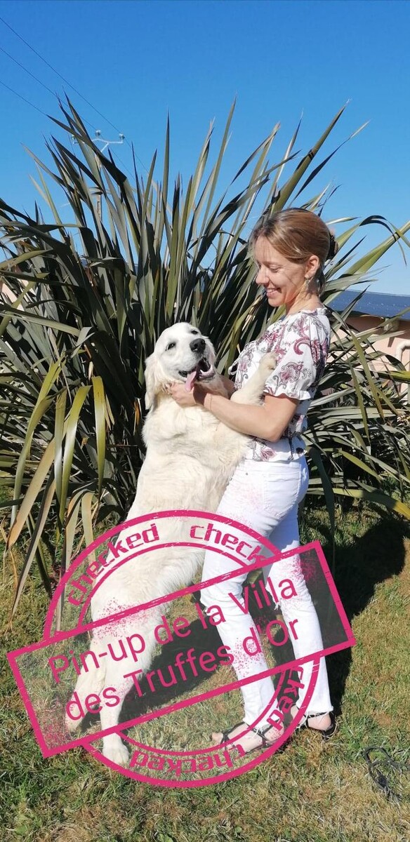 Images La Villa des Truffes D'Or