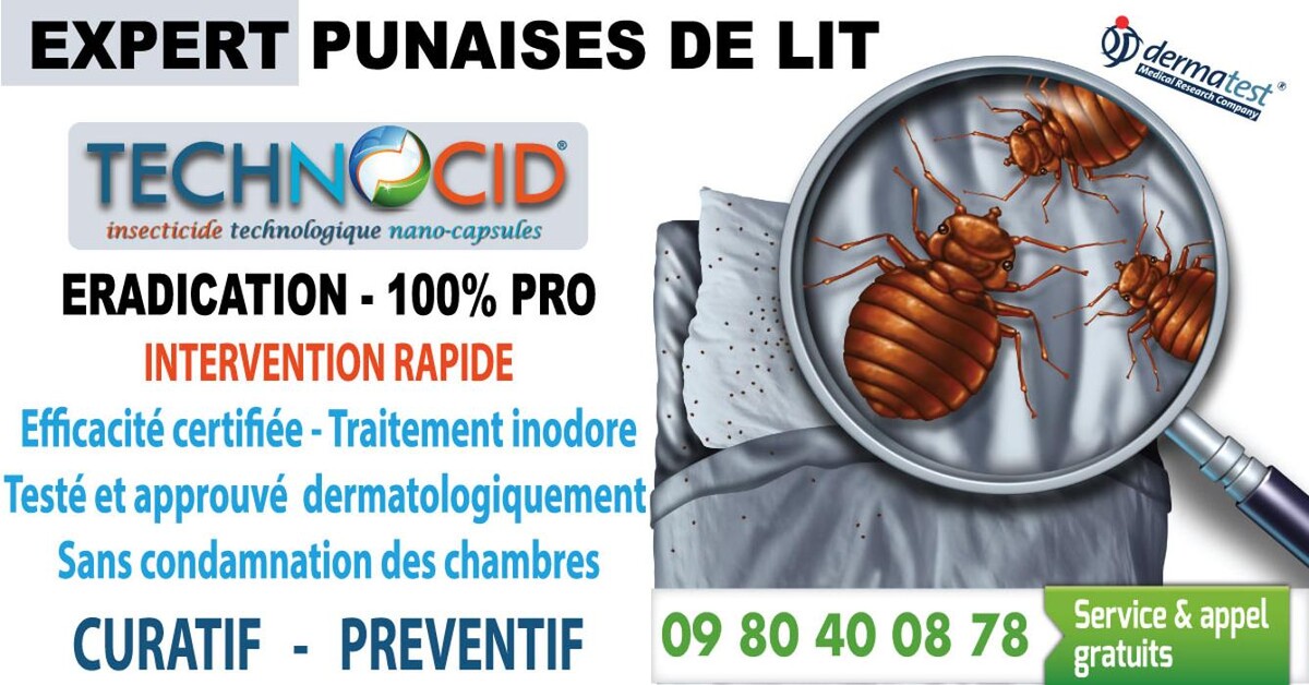 Images DESINSECTISATION PUNAISES DE LIT MARSEILLE