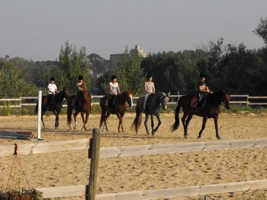 Images Les écuries de Font cluse