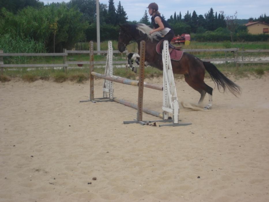 Images Les écuries de Font cluse