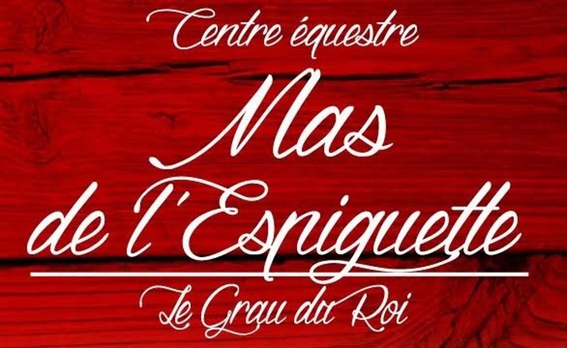 MAS DE L'ESPIGUETTE Logo