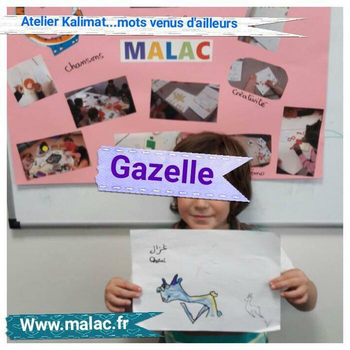 Images MALAC - Maison d'Apprentissage de la Langue Arabe et de la Culture