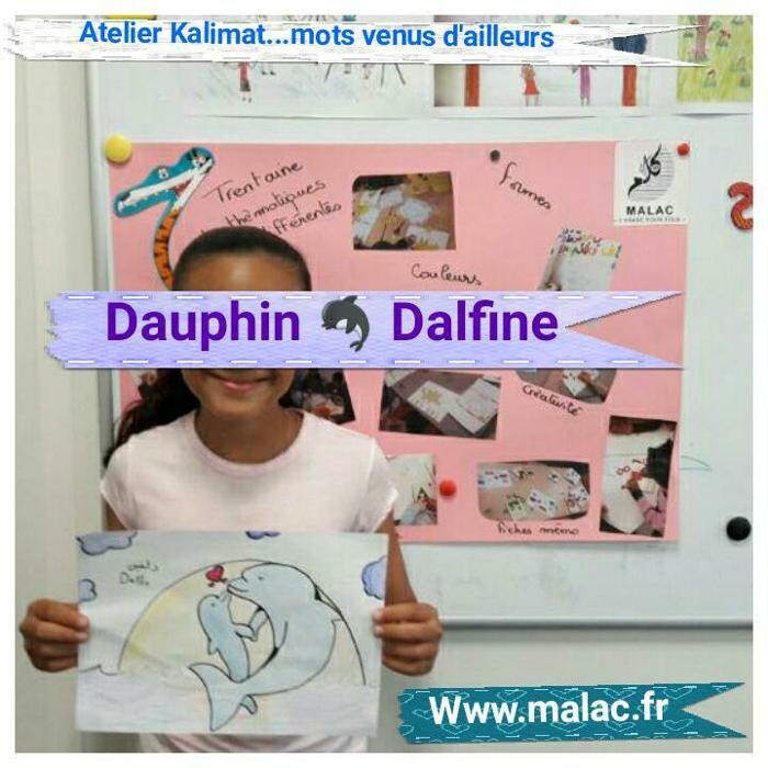 Images MALAC Institut des langues