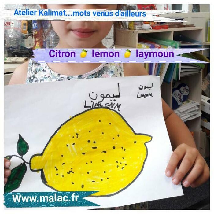 Images MALAC - Maison d'Apprentissage de la Langue Arabe et de la Culture