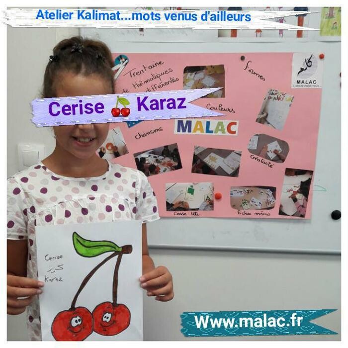 Images MALAC Institut des langues