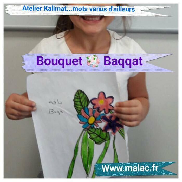 Images MALAC Institut des langues