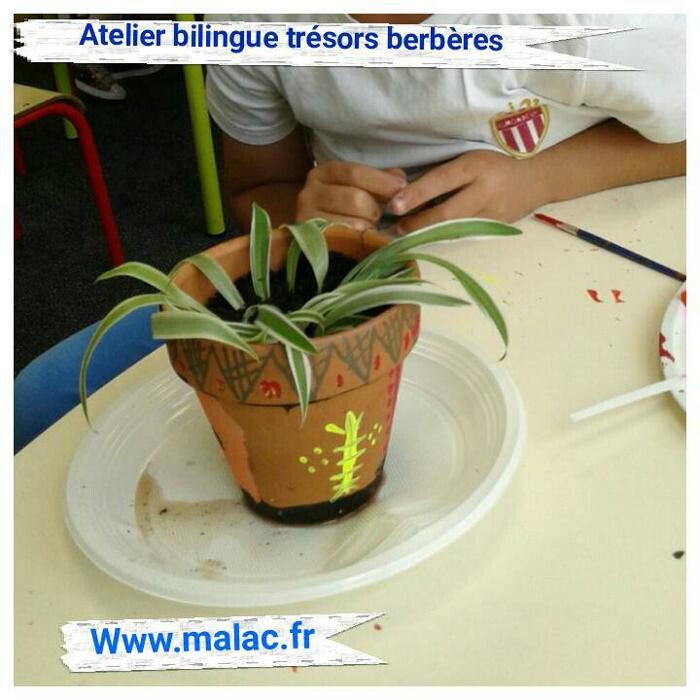 Images MALAC Institut des langues