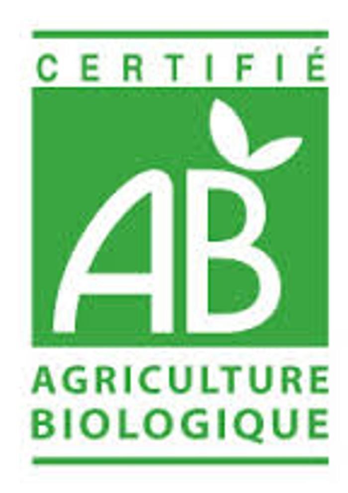 Images PIZZA DELOS Pizzeria certifiée Bio Besançon