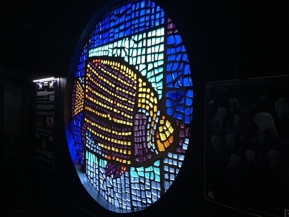 Images AQUARIUM D'AMNEVILLE