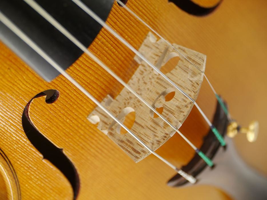 Images Thomas Billoux Luthier