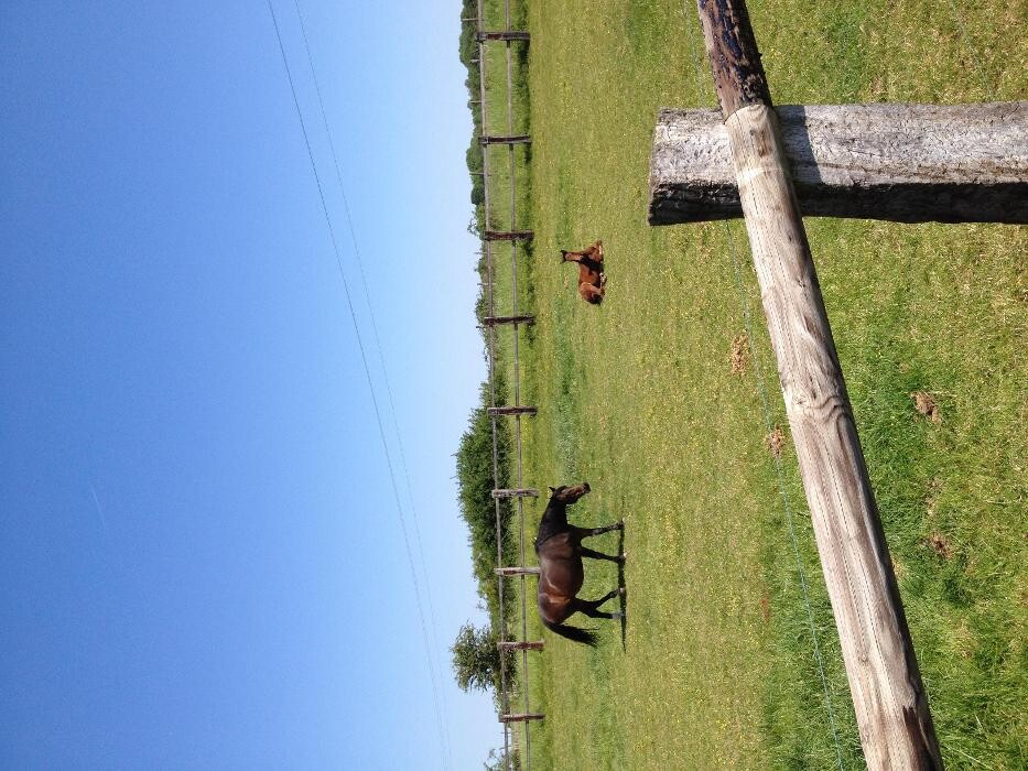 Images Ecuries du Chatillon