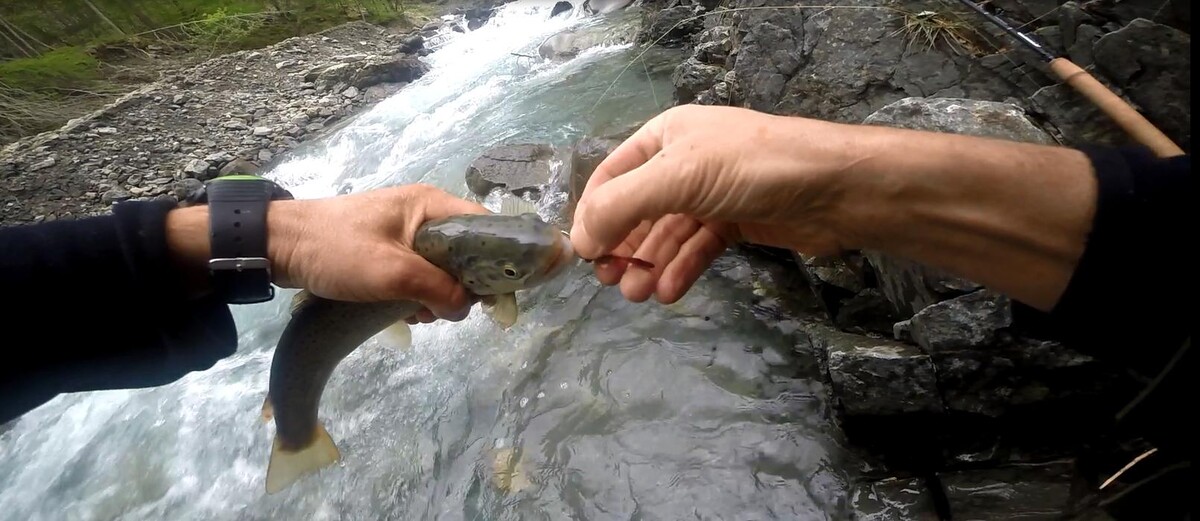 Images Angelo Palazzini Moniteur Guide de Pêche dans la Sorgue le Verdon et les Alpes du Sud