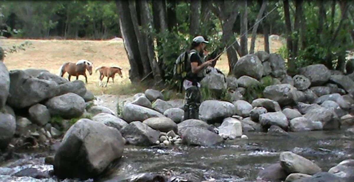 Images Angelo Palazzini Moniteur Guide de Pêche dans la Sorgue le Verdon et les Alpes du Sud