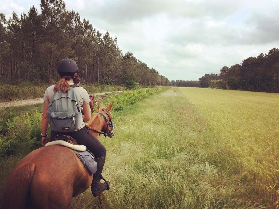 Images Les sabots du temple