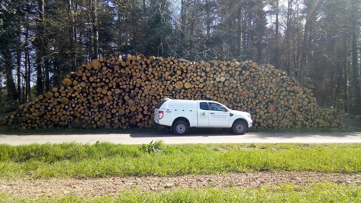 Images Breizh Forêt