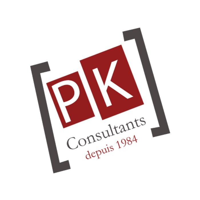 PK CONSULTANTS Logo