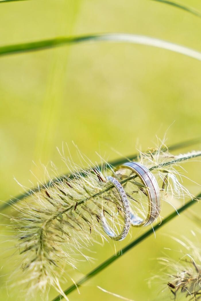 Images Christophe Miquel Photographe